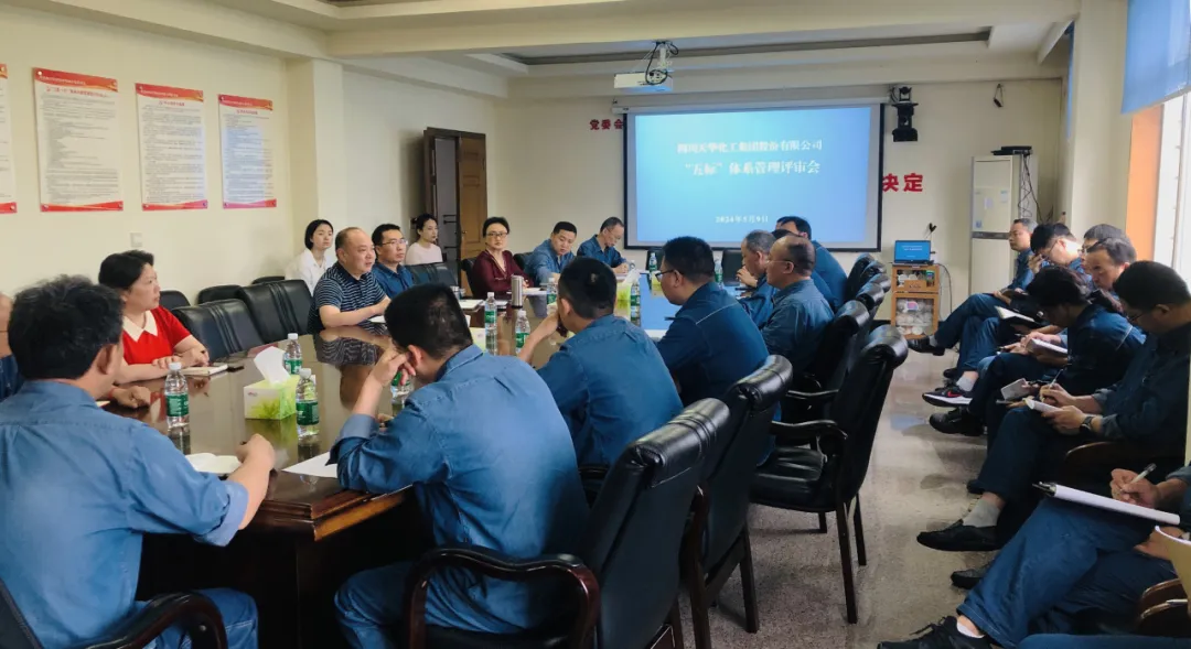 集团召开“五标系统”治理评审会.png